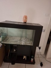 acquario completo usato 160 Litri