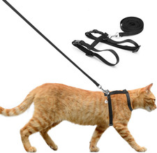 Pettorina per Gatti Con