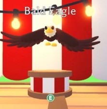 animale domestico aquila calva