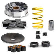 VARIATORE MULTIVAR MALOSSI PER