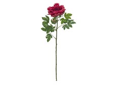 4 pezzi - Ramo di Peonia