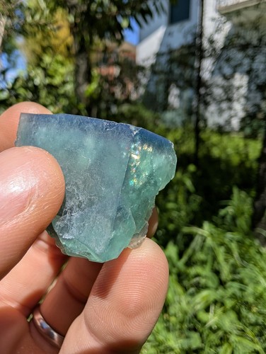Fluorite fluorescente