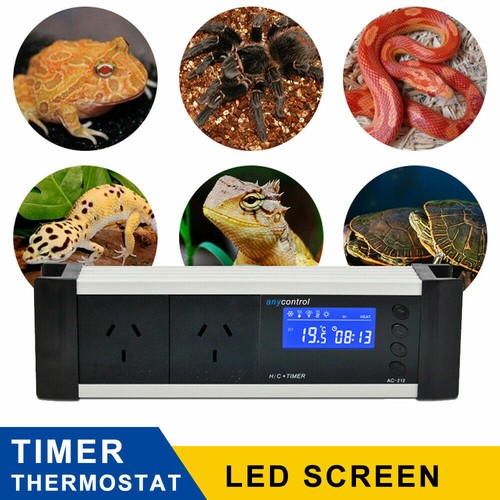 Lcd digitale rettile - digitale, serpente