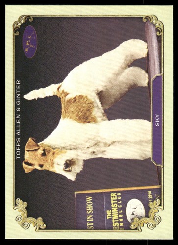2024 topps allen - 2024, &