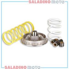 VARIATORE MALOSSI MULTIVAR