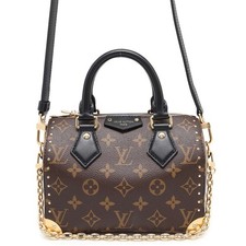 Baule Louis Vuitton Speedy