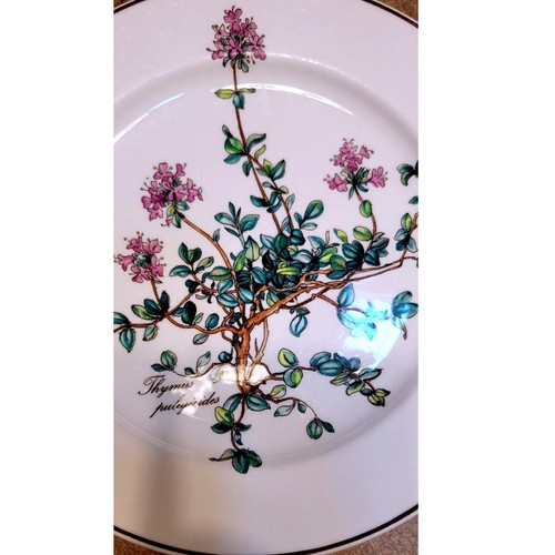 Villeroy boch botanica piatto - boch,