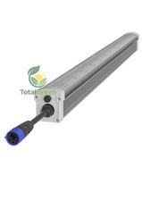 Lampada ortoled under canopy