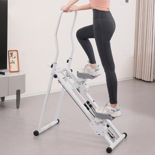 Stepper per scale scalatore