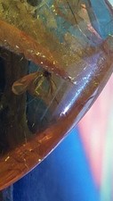 FAVOLOSO SCORPIONE IN AMBRA