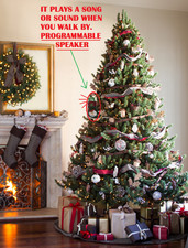 ORNAMENTO NATALE PARLANTE