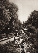 1925 vintage canada ponte - ~,