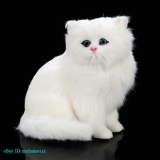 Simulazione realistica gatto