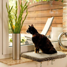 Piattaforma Da Davanzale Della Finestra per Gatti, Grigio Scuro