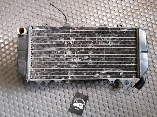 Radiatore ventola yamaha fzr - ventola,