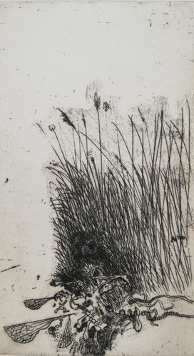 Giuseppe zigaina - giuseppe,