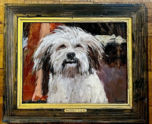 Lawrence ritratto di cane - -,