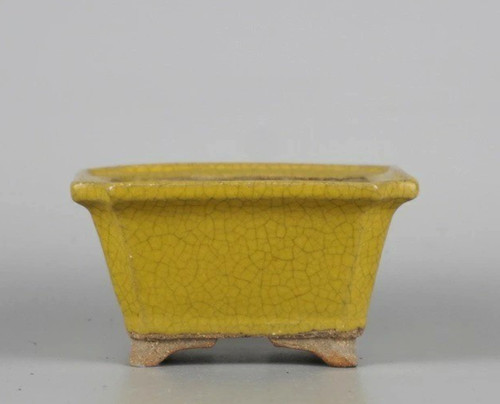Vaso per bonsai giapponese