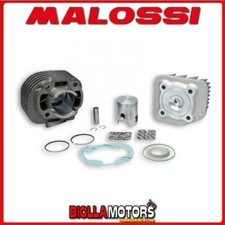 318562 GRUPPO TERMICO MALOSSI