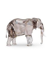 Elefante Fayoia Scs Ed. Annuale 2022 Cristallo Swarovski (cod.5604555)