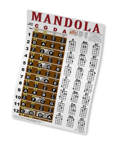 Mandola chord tastiera - mandola,