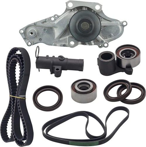 Kit cinghia distribuzione - cinghia,
