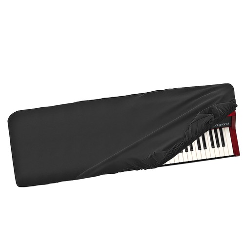 Keys piano keyboard - 88, dust