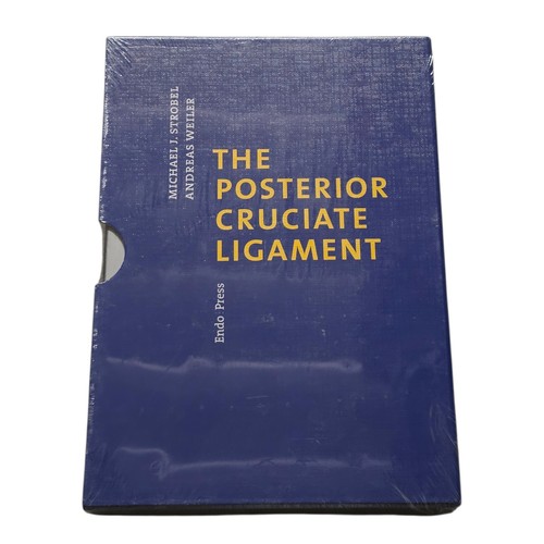 Posterior cruciate ligament - cruciate,