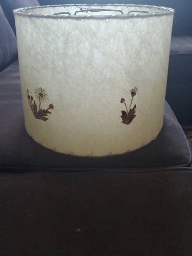 Raro paralume lampada vintage