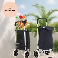 Carrello della Spesa 2 Ruote