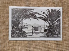 Alassio in 1934 the garden by