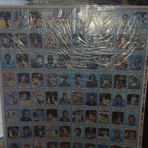Collezione collegiale north - collegiale,