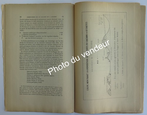 Paléontologie-Géologie