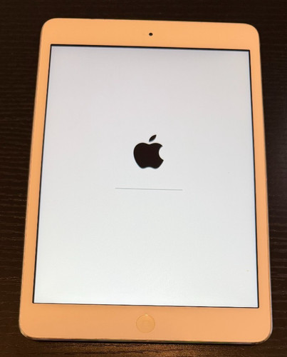 Apple ipad mini - mini,