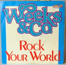 DISCO VINILE 45 GIRI ROCK YOUR