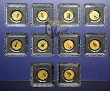 World bees set - bees, 10