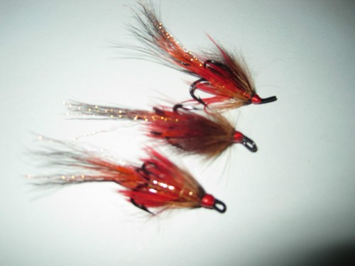 Fly volpe artica - 3,