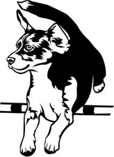 Adesivo BEAGLE - adesivo auto