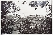 Cartolina - Prata ( Grosseto ) - Panorama - 1963