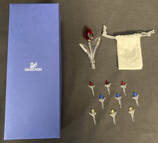 Regalo rinnovamento tulipano