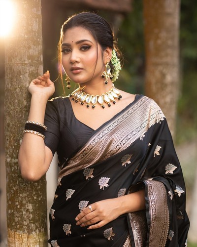 Fashnixy sari seta banarasi - fashnixy,