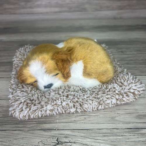 Perfetto petzz minis cavalier - perfetto,