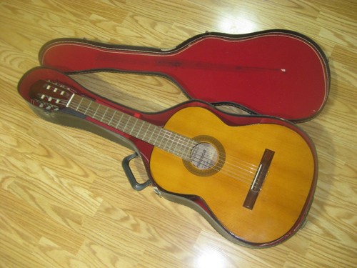 Chitarra acustica vintage - acustica,