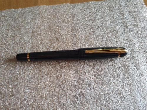 Penna stilografica waterman - penna,