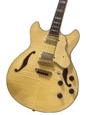 Chitarra elettrica Ibanez