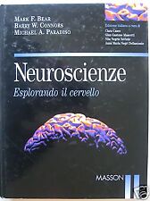 M. F. Bear B. W. Connors M. A