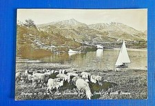 cartolina scai amatrice rieti saluti da vedute formato grande anni '60