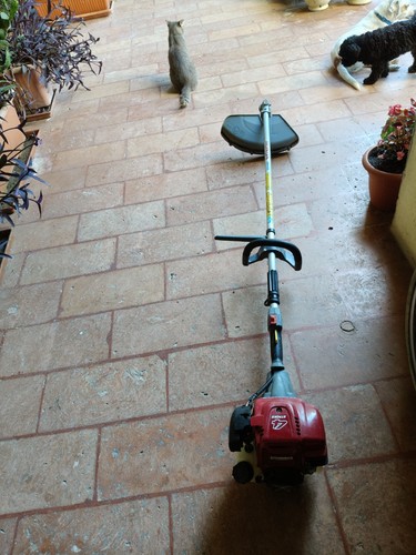 Decespugliatore tempi honda - decespugliatore,