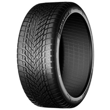 1 pneumatico invernale Dunlop