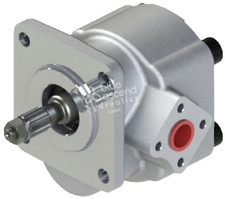 Pompa idraulica per Iseki TS